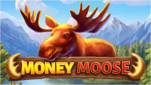 Money Moose Review